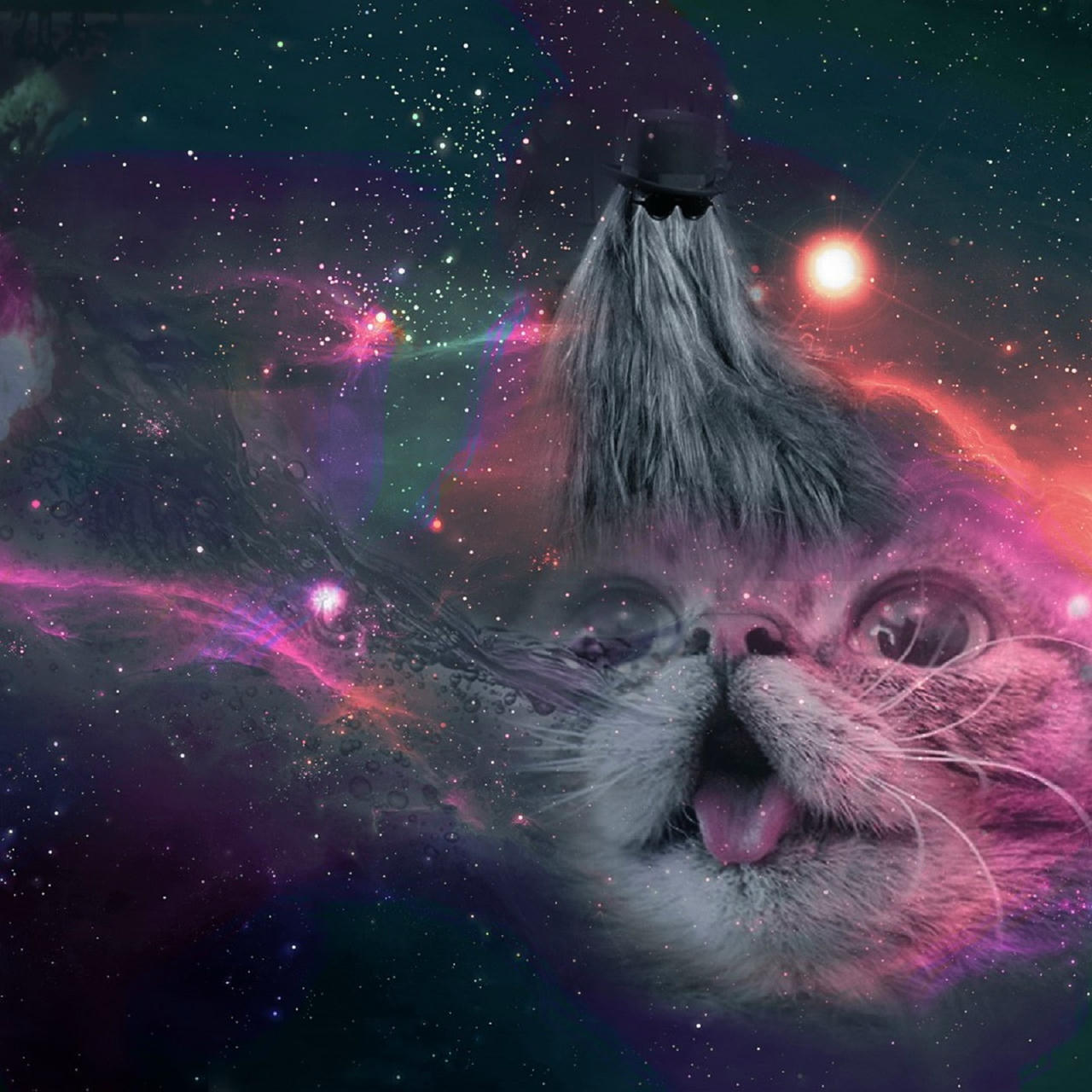 Cat in Space