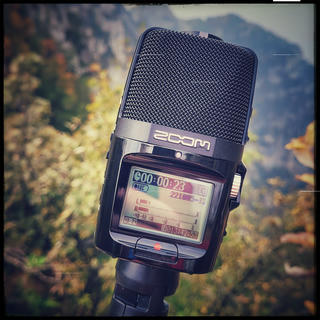 Field Recoder in nature